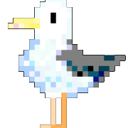 The Aberystwyth Gull